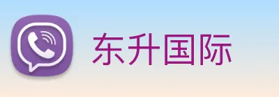 东升国际 logo